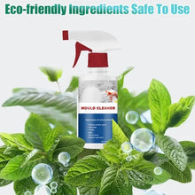 Load image into Gallery viewer, ✨Mildew Cleaner Foam✨