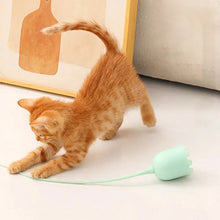Load image into Gallery viewer, Indoor Cat Toys