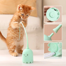 Load image into Gallery viewer, Indoor Cat Toys