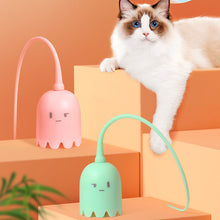 Load image into Gallery viewer, Indoor Cat Toys