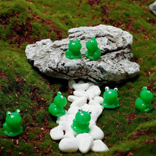 Load image into Gallery viewer, 🐸Tiny Frog| Challenge Hiding Frog