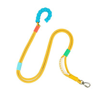 Load image into Gallery viewer, Dog reflective leash