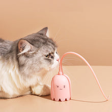 Load image into Gallery viewer, Indoor Cat Toys