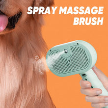 Load image into Gallery viewer, Pet Spray Hair Removal Comb