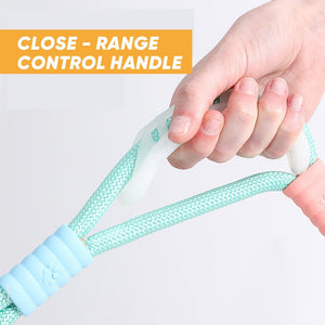 Dog reflective leash
