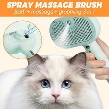 Load image into Gallery viewer, Pet Spray Hair Removal Comb