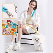 Load image into Gallery viewer, Dog reflective leash