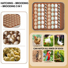 Load image into Gallery viewer, SAKER® Egg Incubator
