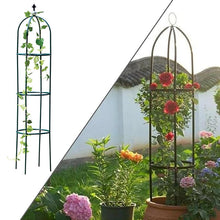 Load image into Gallery viewer, Garden Trellis for Climbing Plants