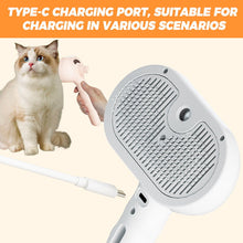 Load image into Gallery viewer, Pet Spray Hair Removal Comb