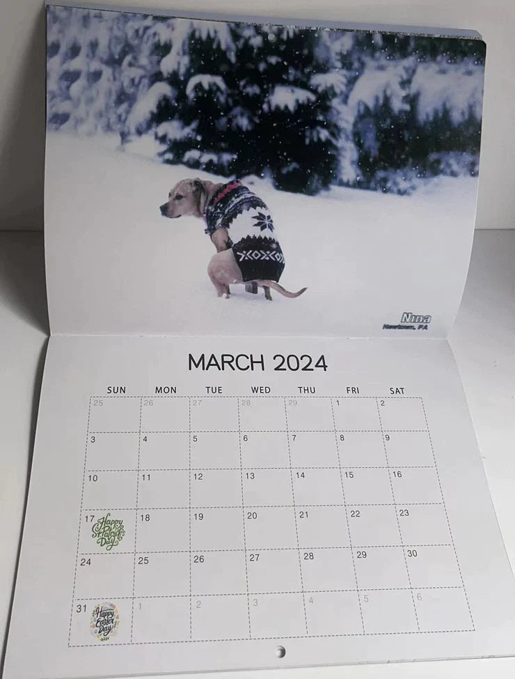 😆Funniest calendar of the century|