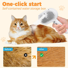 Load image into Gallery viewer, Pet Spray Hair Removal Comb