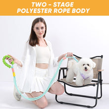 Load image into Gallery viewer, Dog reflective leash