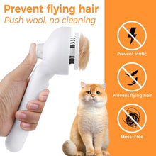 Load image into Gallery viewer, Pet Spray Hair Removal Comb