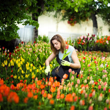 Load image into Gallery viewer, SAKER® Garden Weed Pulling Tool