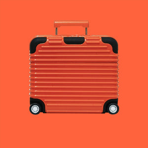 Funny Luggage Earphones Case