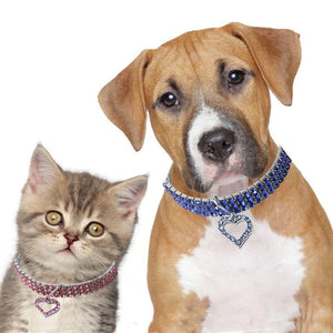 Gold dog Chain - Crystal Heart Pets Collar