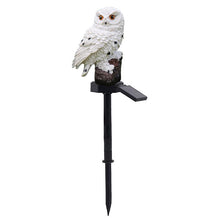 Load image into Gallery viewer, Solar Owl Lamp