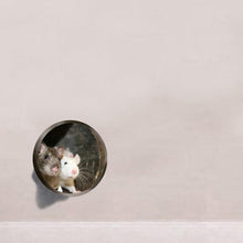 Load image into Gallery viewer, Realistic 3D Mouse Hole Wall Stickers