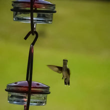 Load image into Gallery viewer, Hummble Slim Hummingbird Feeder