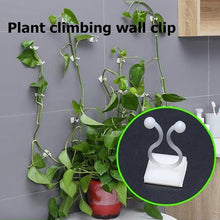 Load image into Gallery viewer, Plant Climbing Wall Clip
