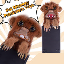 Load image into Gallery viewer, Pet Monkey Pranksters Toys