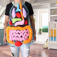 Load image into Gallery viewer, New Body Anatomy Apron