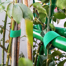Load image into Gallery viewer, Self-Attaching Nylon Cable Ties