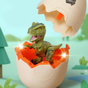 Hatching Egg Dinosaur Toy