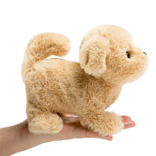 Load image into Gallery viewer, Realistic Teddy Dog Lucky