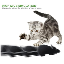 Load image into Gallery viewer, Remote Control Mouse Electric Cat Toy