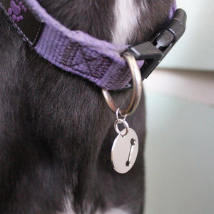 Dog - Human Best Friends Necklace