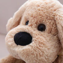 Load image into Gallery viewer, Clapping &amp; Singing Puppy Toy