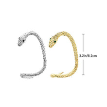 Load image into Gallery viewer, Creative Serpentine Zircon Earrings