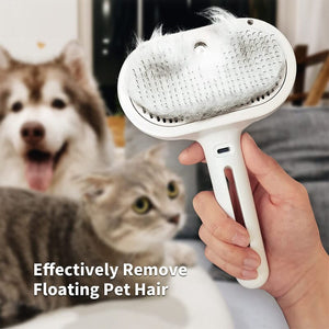 Spray Cat Brush