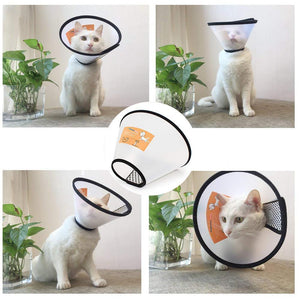 E-Collar for pets (8 sizes optional)