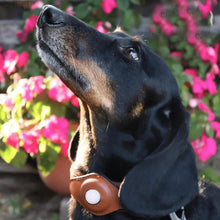 Load image into Gallery viewer, Leather Airtag Collar