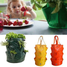 Load image into Gallery viewer, Strawberry Planting Grow Bag