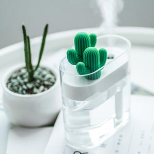 Modern Cactus Humidifier