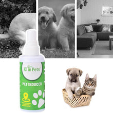 Load image into Gallery viewer, Pet Toilet Training Aid