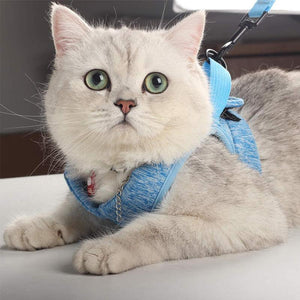 Cat Vest Harness and Leash