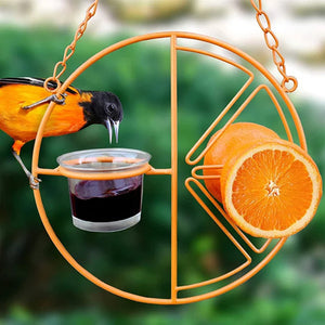 Oriole Bird Feeder Orange